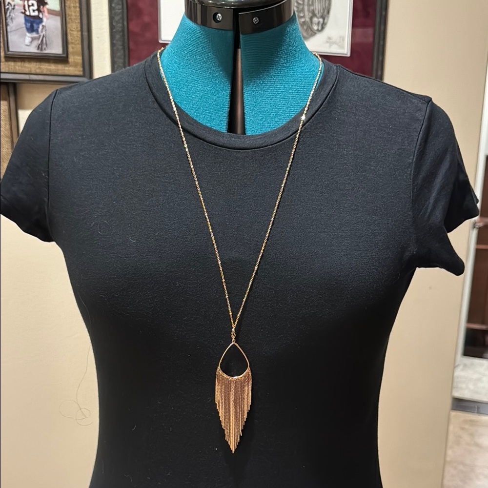 Ann Taylor Loft Fringe Necklace
